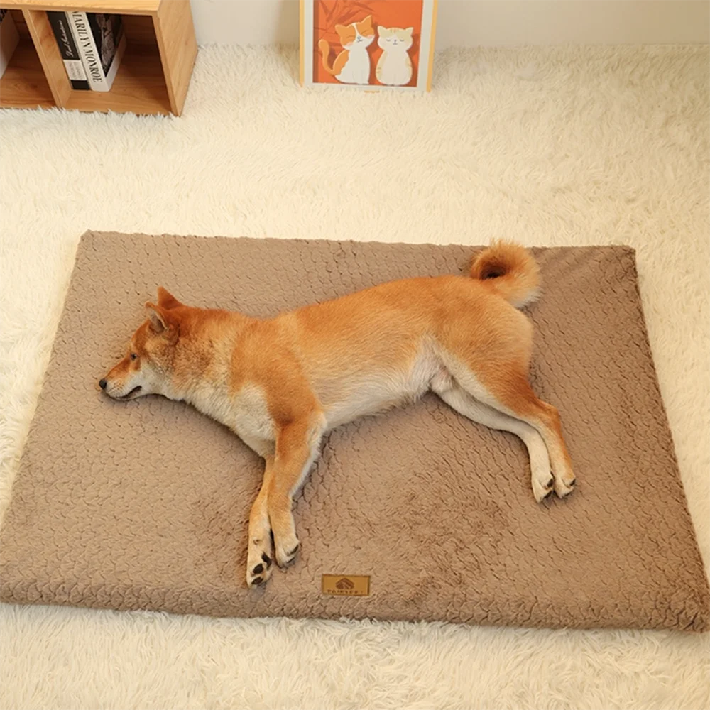Grand tapis pour chien | Kayzen