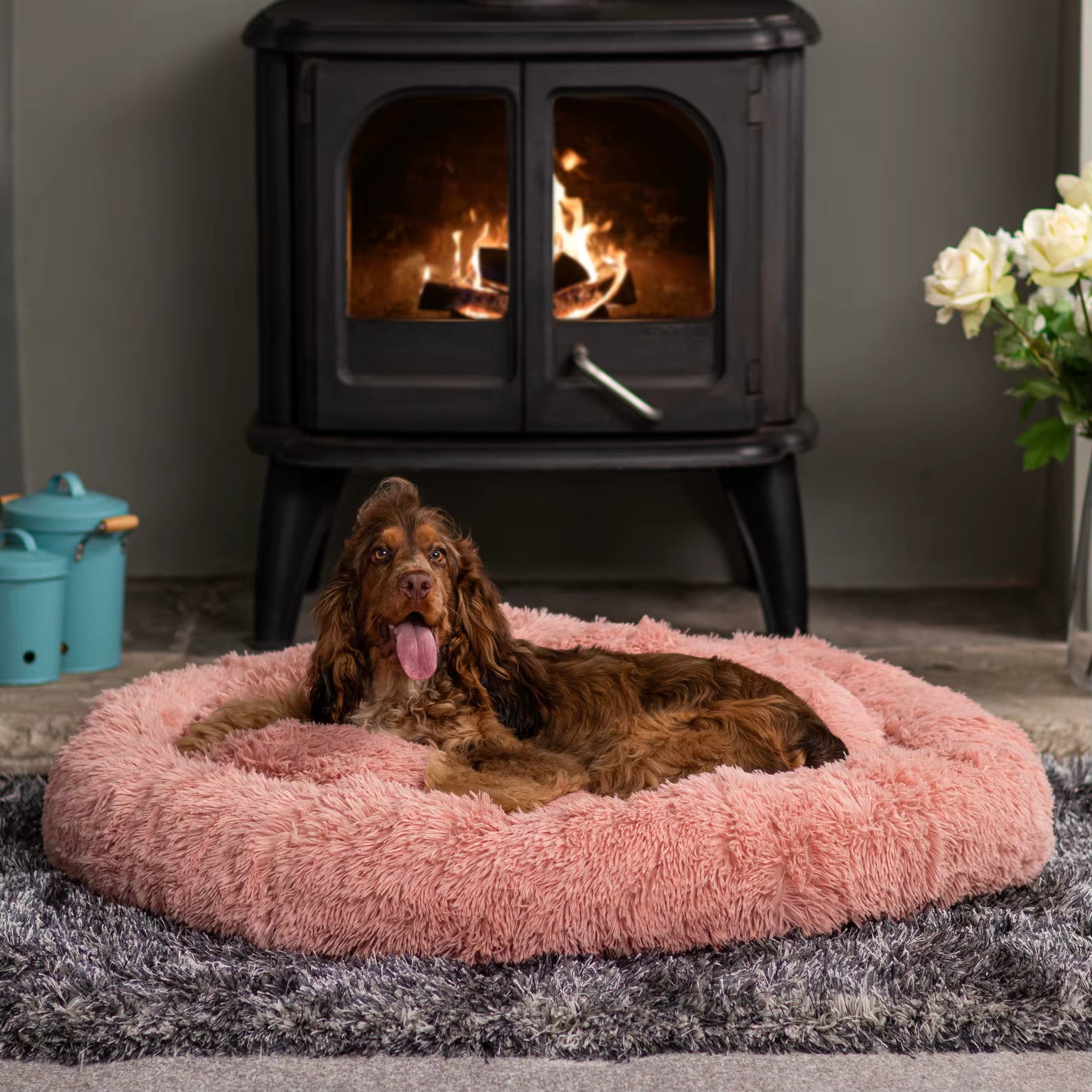 Coussin pour chien | Cody