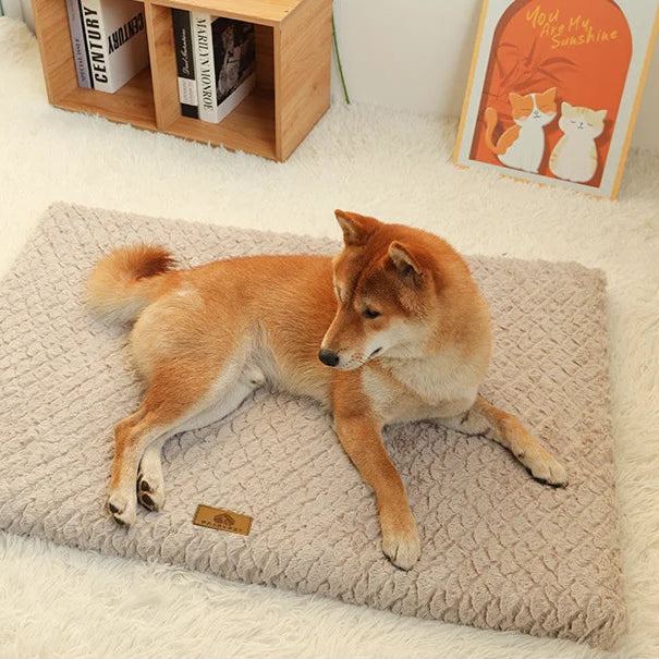 Grand tapis pour chien | Kayzen