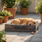 Meilleur panier pour chien | Flash