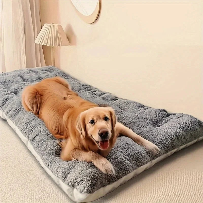 Tapis pour grand chien | Rex
