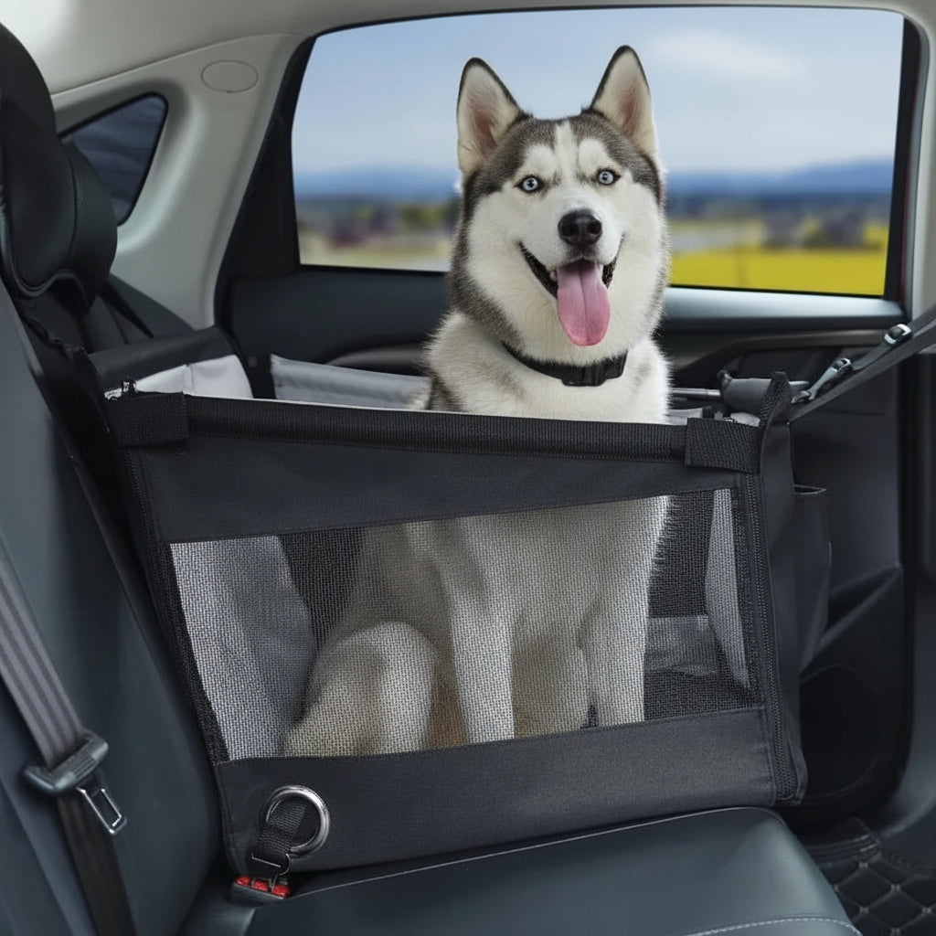 Siège auto pour chien 20kg | Snoopy