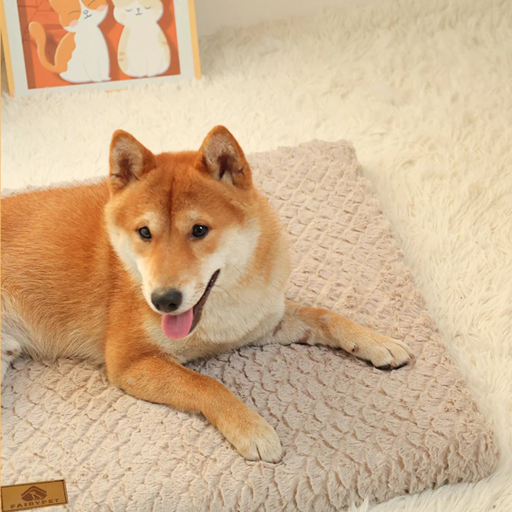 Grand tapis pour chien | Kayzen
