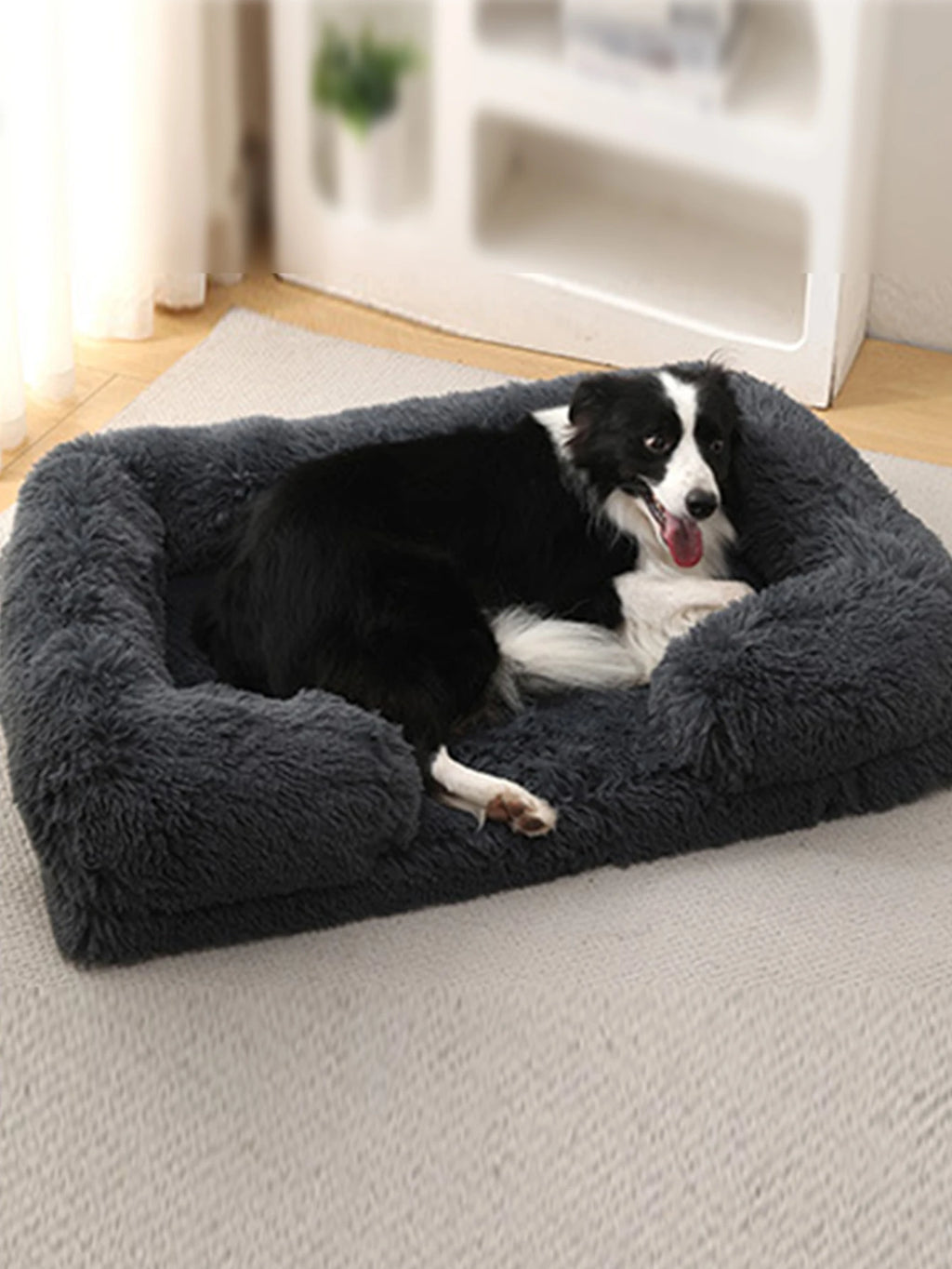Coussin pour gros chien | Norbert
