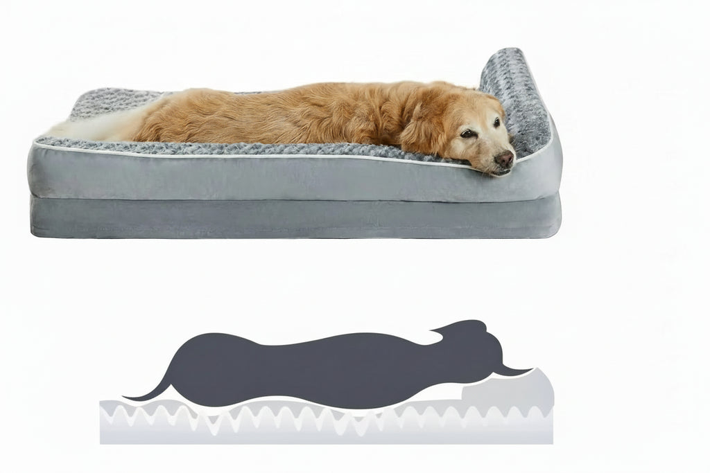 Tapis indestructible pour chien | Robox